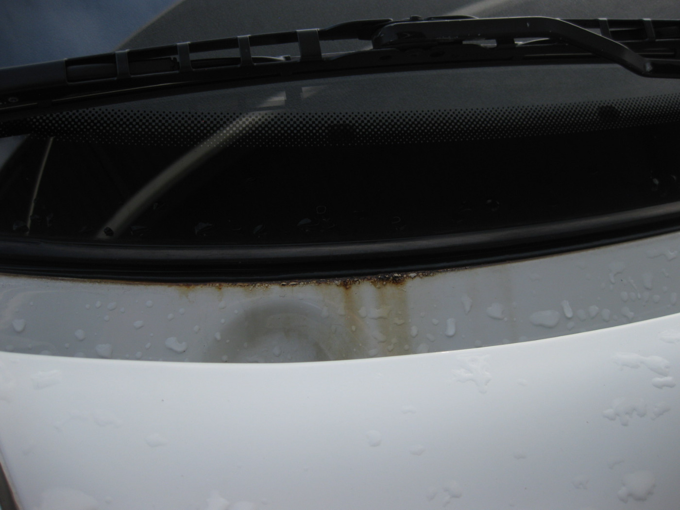 T4 Carthago Malibu 32.1 LR-17