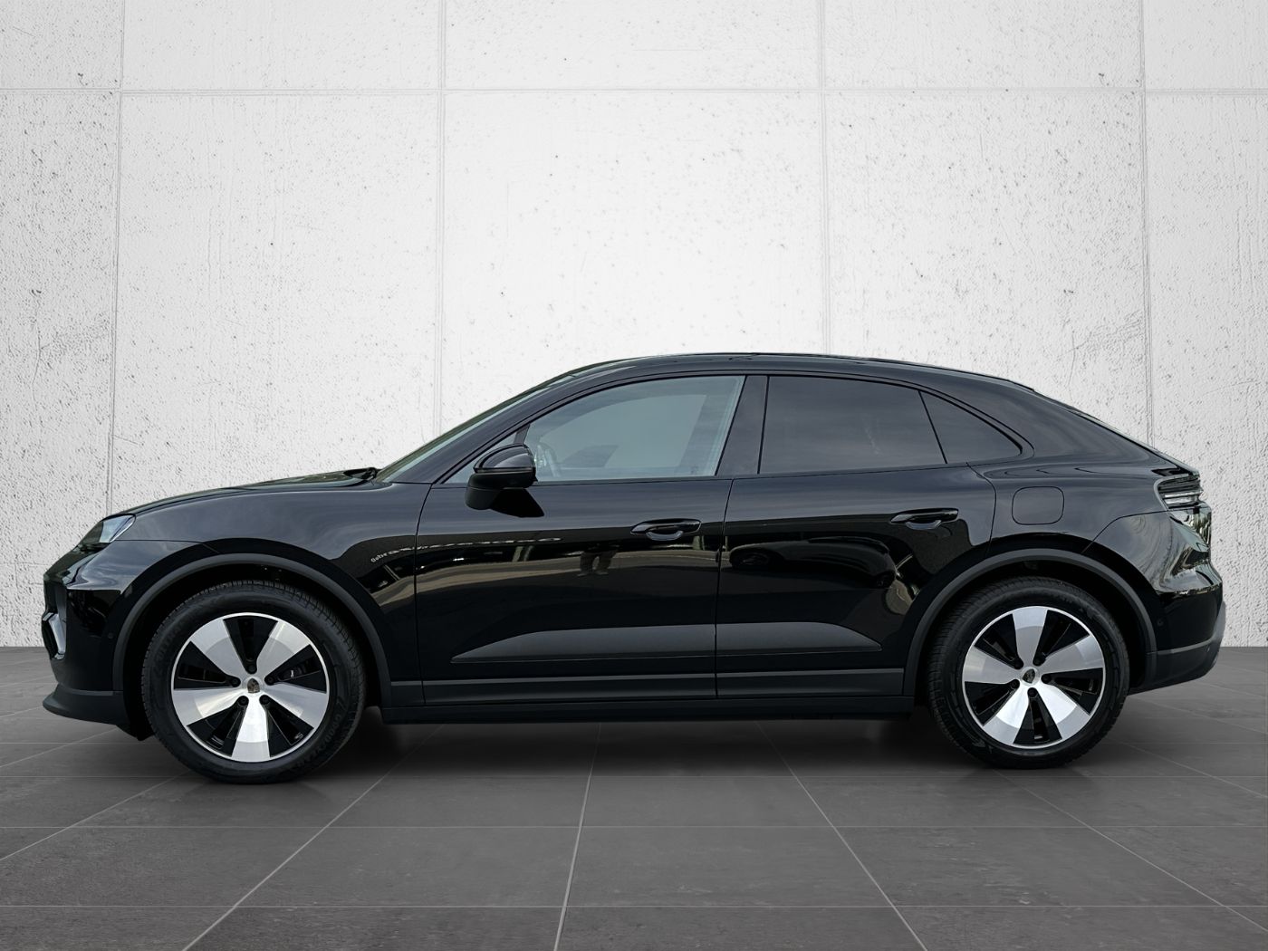 Macan-1