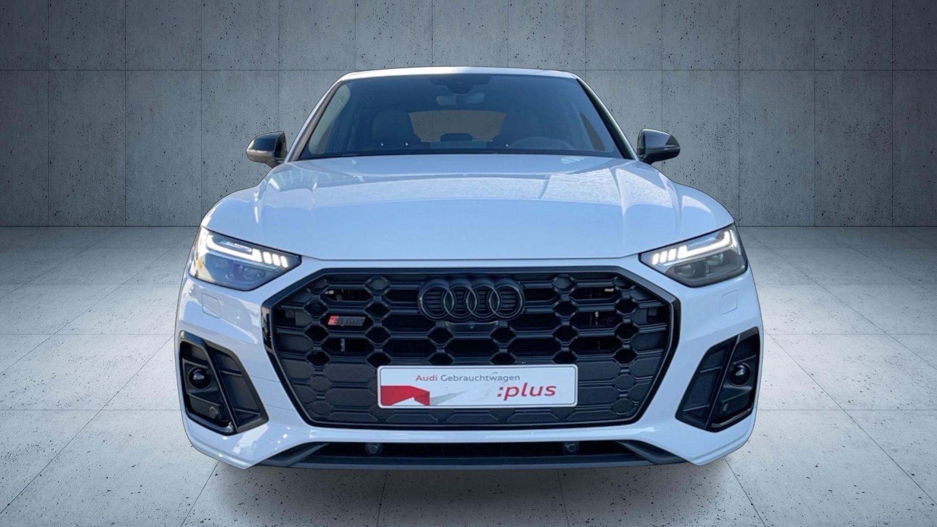 SQ5 TDI tiptr.-6