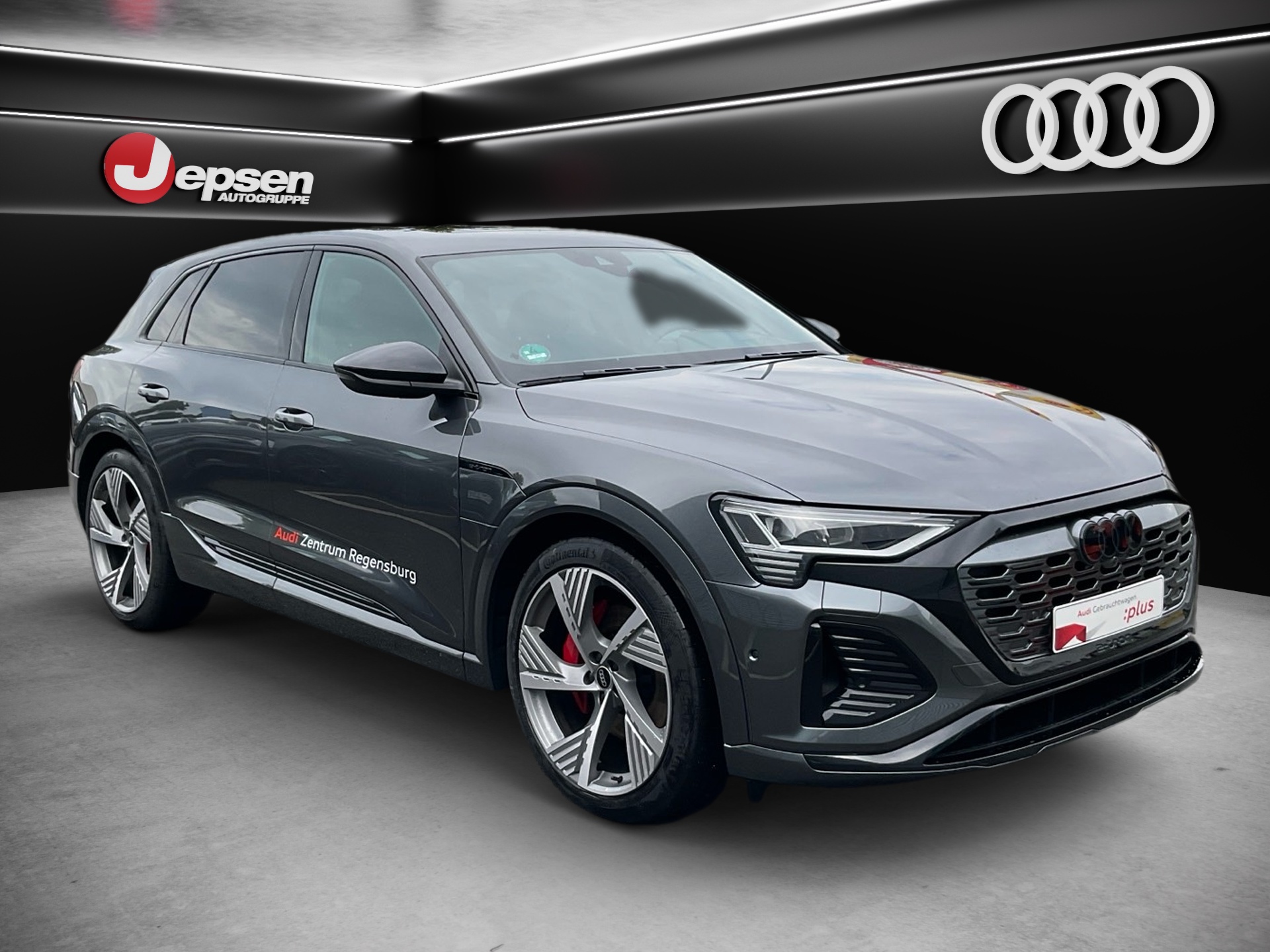 Q8 S line 55 e-tron quattro-17